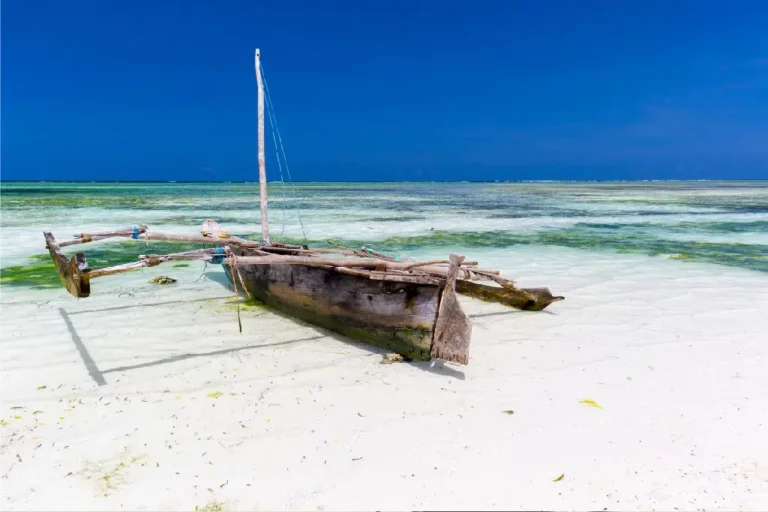 12-days-kenya-bush-and-zanzibar-beach-private-safari-1