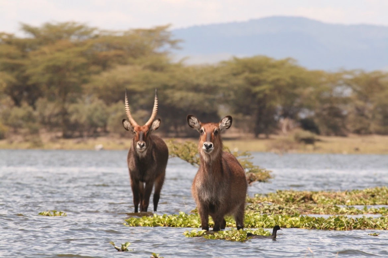 16-days-kenya-and-zanzibar-budget-package-2