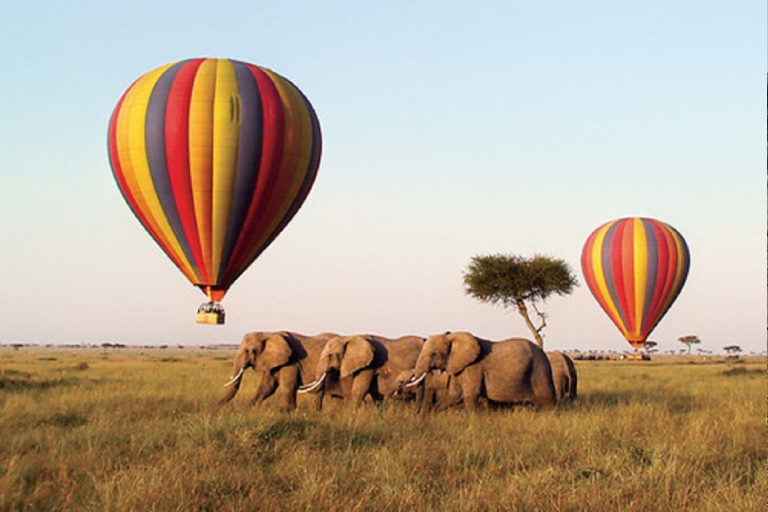 2-days-amboseli-overnight-flying-safari-2 (1)