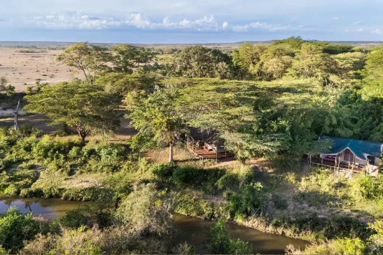 2-days-masai-mara-national-reserve-4