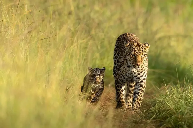 3-days-2-nights-masai-mara-4