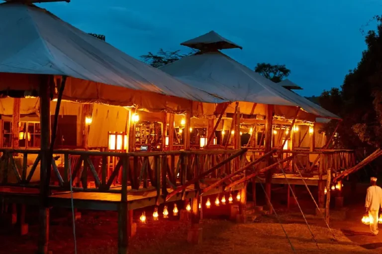 3-days-2-nights-masai-mara-budget-camping-safari-2