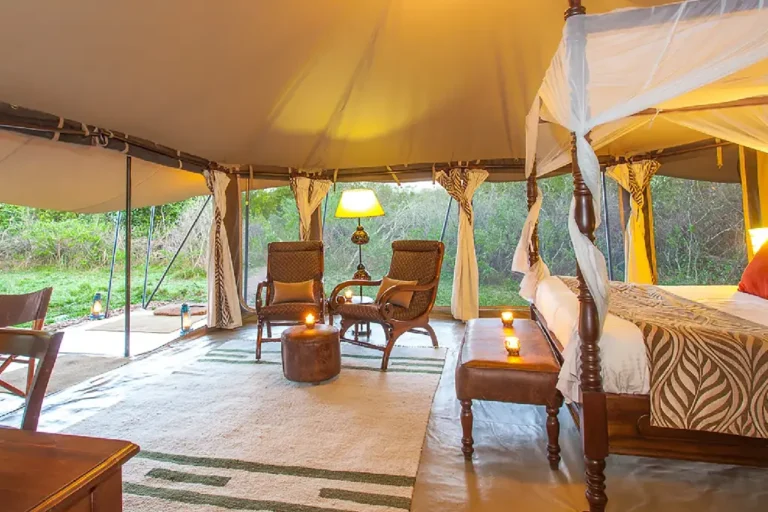3-days-2-nights-masai-mara-budget-camping-safari-3