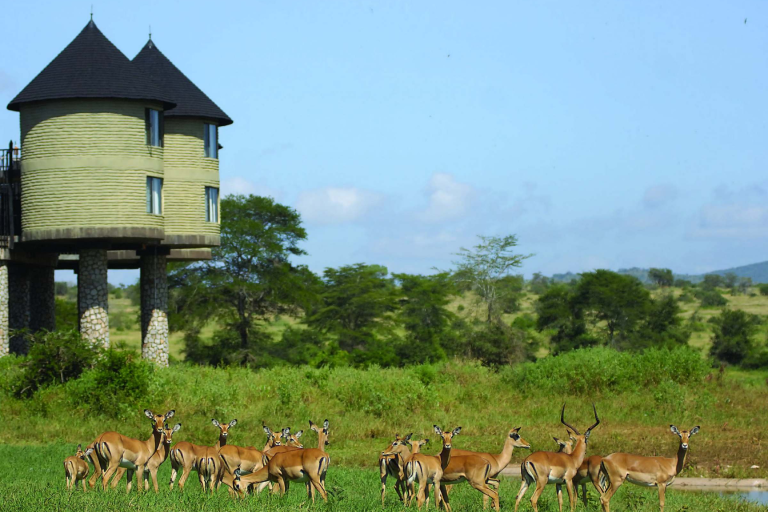 3-days-2-nights-sarova-saltlick-and-tsavo-west-private-safari-from-nairobi-1