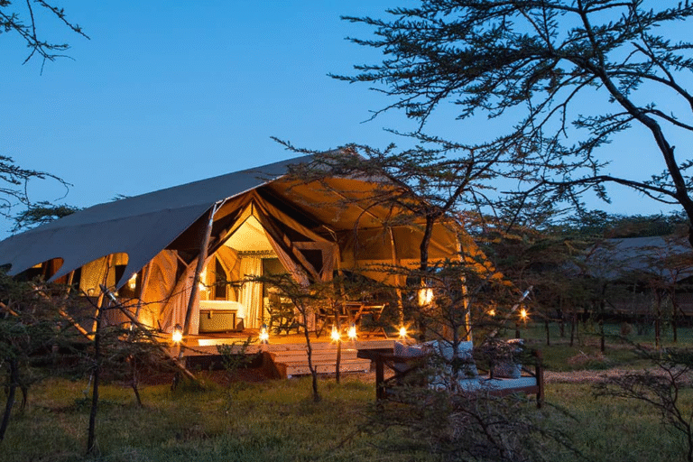 3-days-masai-mara-4x4-private-camp-safari-3