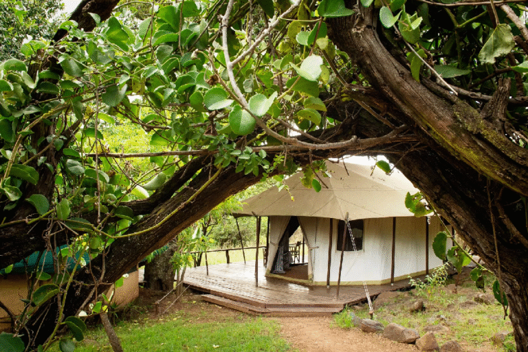 3-days-masai-mara-4x4-private-camp-safari-4