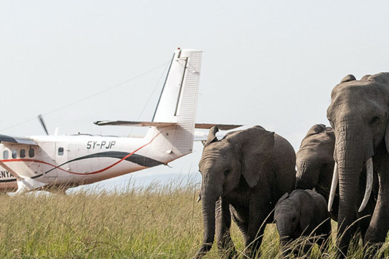 3-days-masai-mara-flying-safari-1
