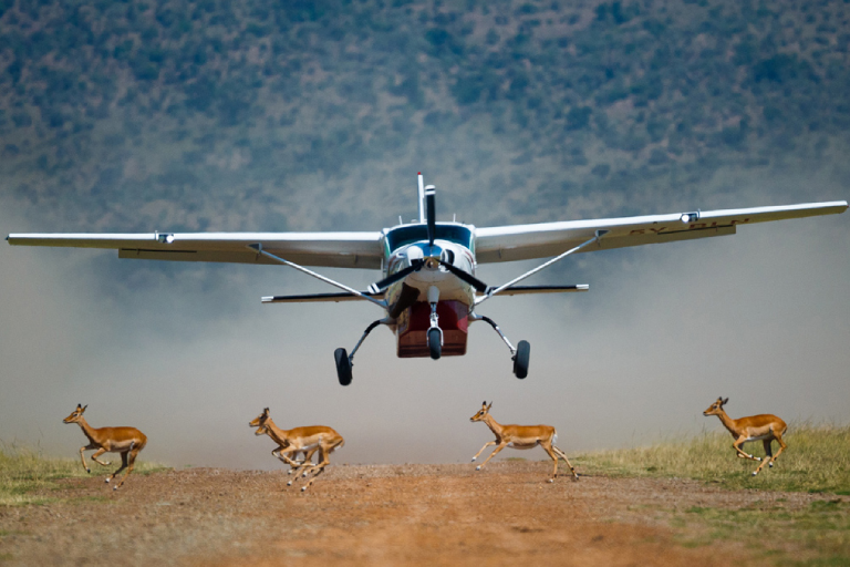3-days-masai-mara-flying-safari-2