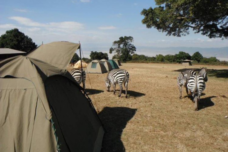 3-days-samburu-budget-camping-safari-1