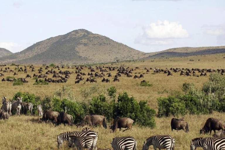 4-days-masai-mara-camping-safari-3