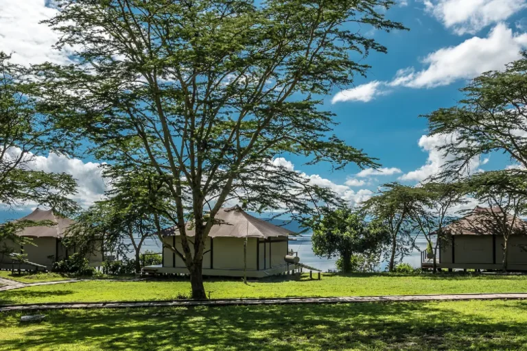 4-days-masai-mara-l-nakuru-camping-1
