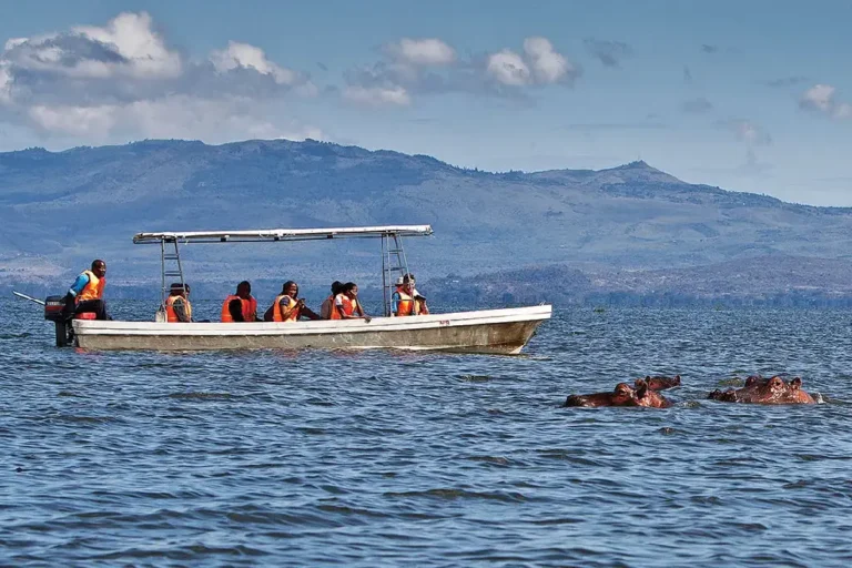 4-days-masai-mara-lake-naivasha-1