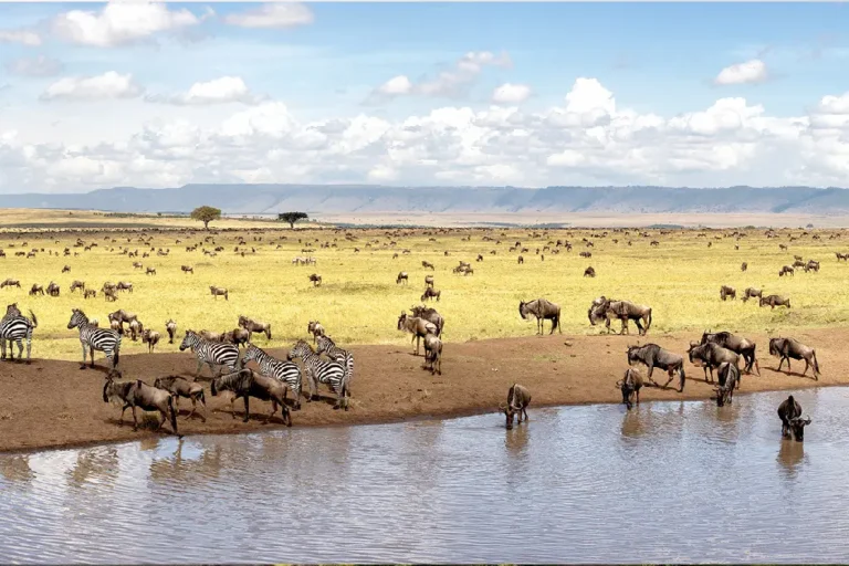 4-days-masai-mara-lake-naivasha-3