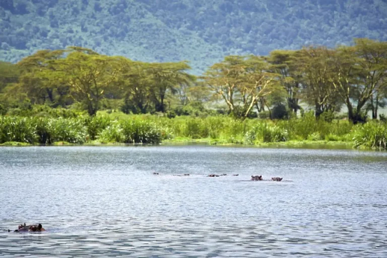 4-days-masai-mara-lake-naivasha-4