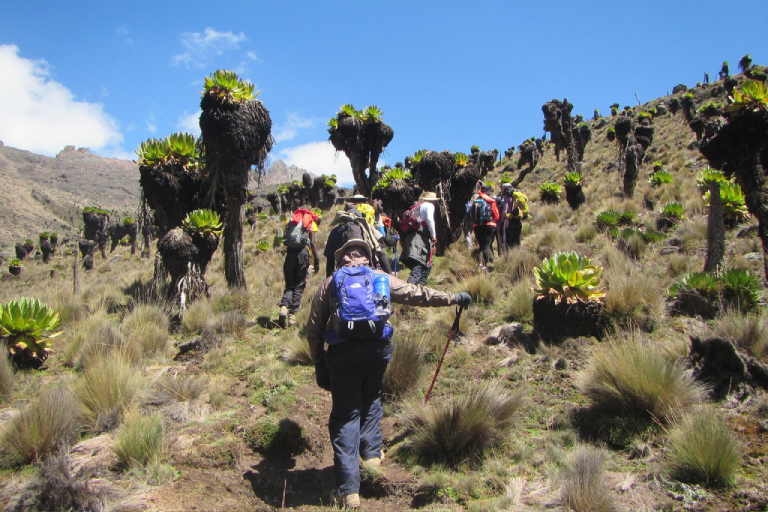 4-days-mt-kenya-3