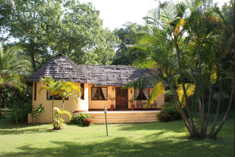 4-days-tanzania-lodge-safari-1