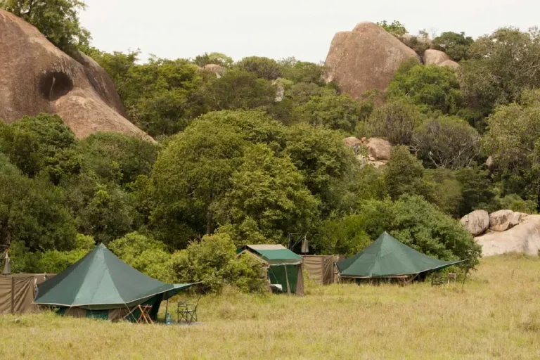 5-days-private-budget-camping-safari-2