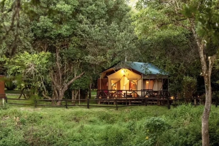 5-days-private-budget-camping-safari-3