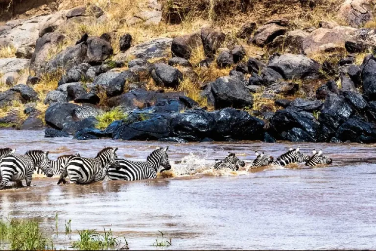 5-days-private-budget-camping-safari-5