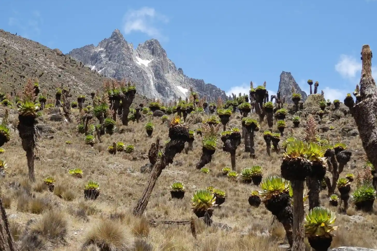 5-days-sirimon-down-narumoru-route-1