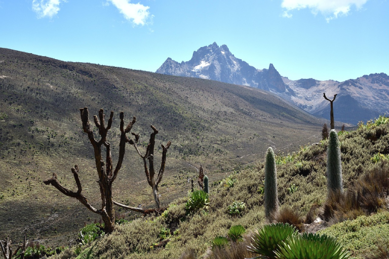 5-days-sirimon-down-narumoru-route-4