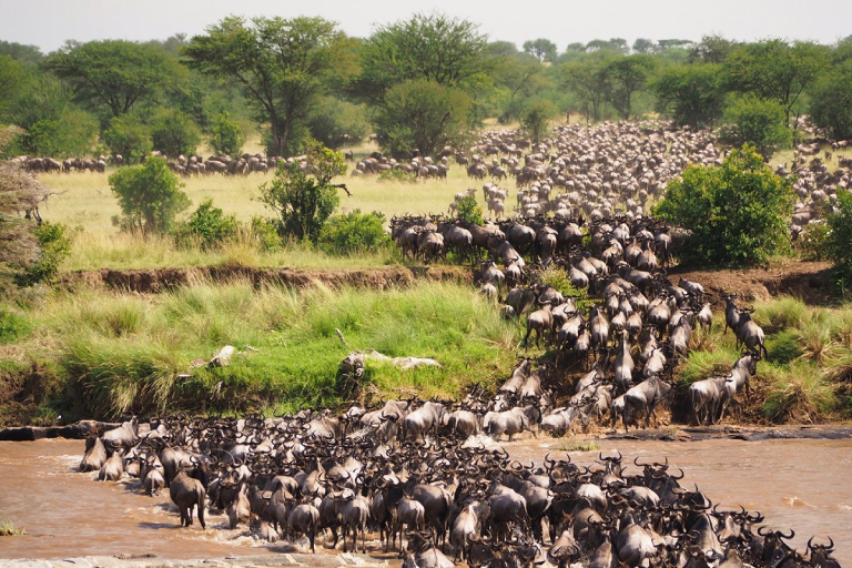 5-days-tanzania-safari-2