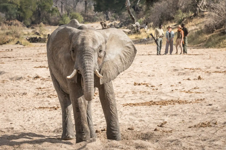 5-days-tanzania-safari-4