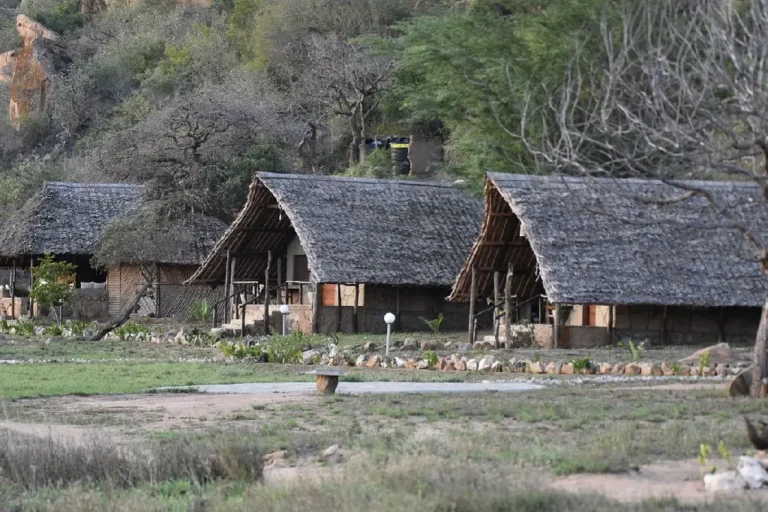 6-days-amboseli-tsavo-east-tsavo-west-mombasa-camping-safari-3
