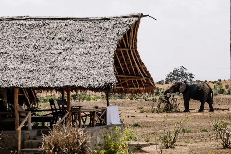 6-days-amboseli-tsavo-east-tsavo-west-mombasa-camping-safari-4