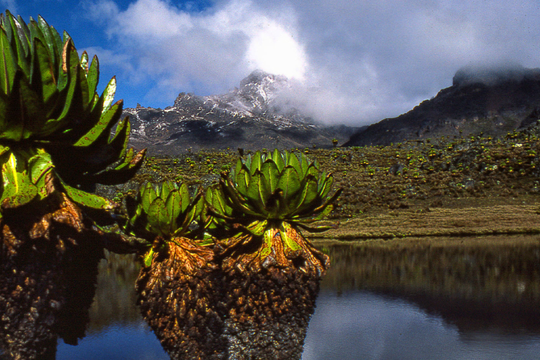 6-days-mt-kenya-climbing-naromoru-sirimon-route-3