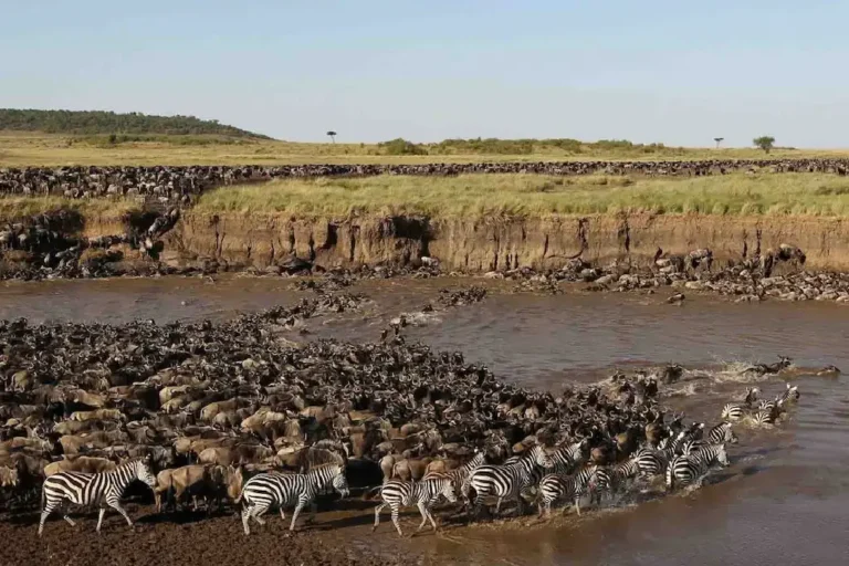 6-days-tanzania-wildebeest-migration-safari-1