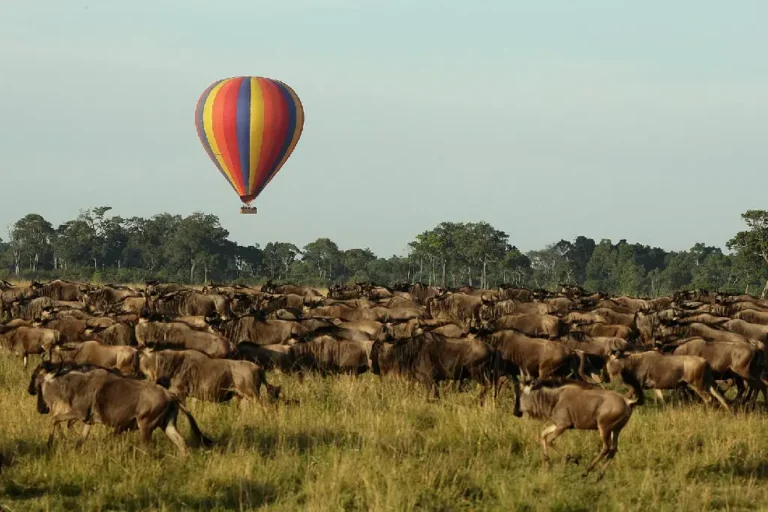 7-days-kenya-tanzania-combined-camping-safari-4