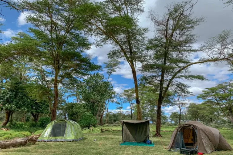 7-days-masai-mara-l-nakuru-amboseli-camping-1