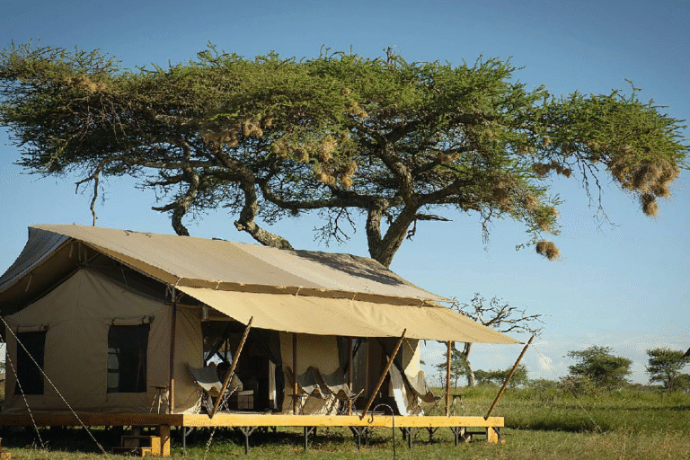 7-days-nakuru-naivasha-amboseli-ngorongoro-serengeti-camping-1