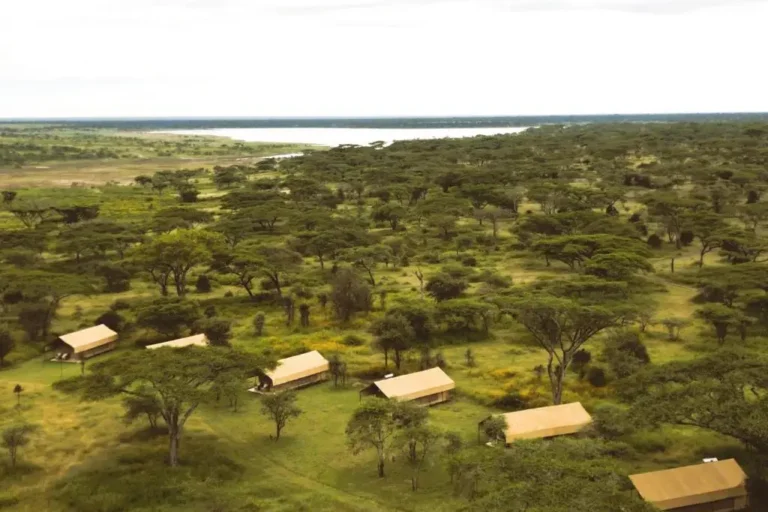 7-days-nakuru-naivasha-amboseli-ngorongoro-serengeti-camping-2