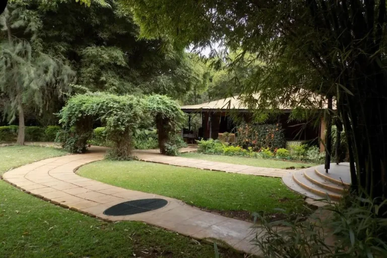 8-days-kenya-and-tanzania-private-lodging-safari-1