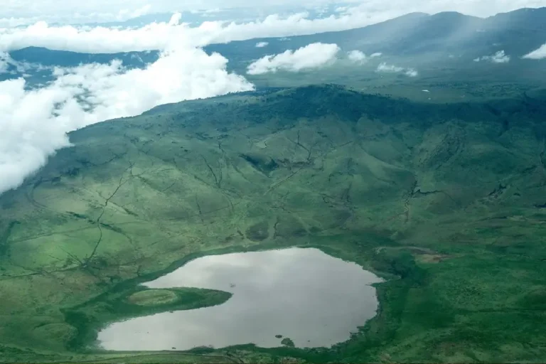 8-days-kenya-and-tanzania-private-lodging-safari-2