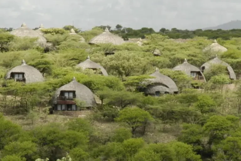 8-days-kenya-and-tanzania-private-lodging-safari-3