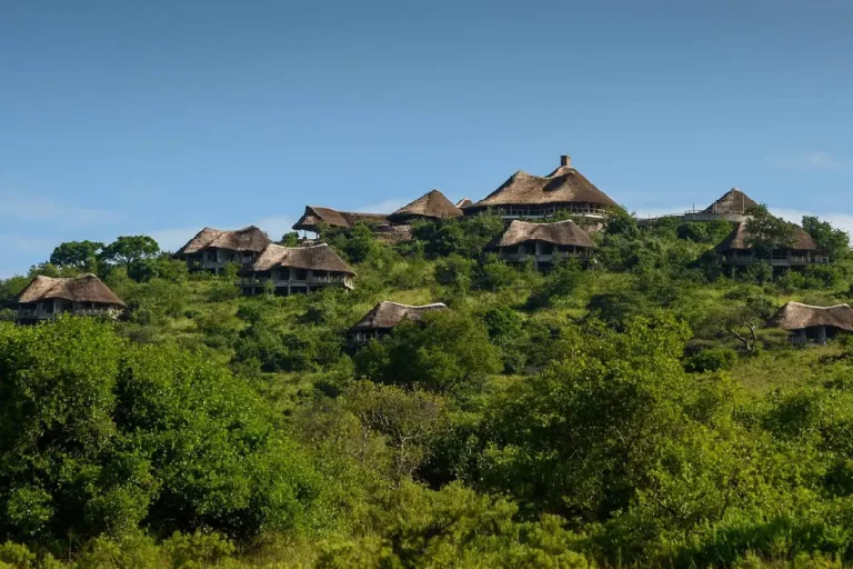 8-days-kenya-and-tanzania-private-lodging-safari-4