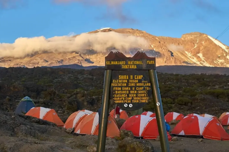 8-days-lemosho-route-2
