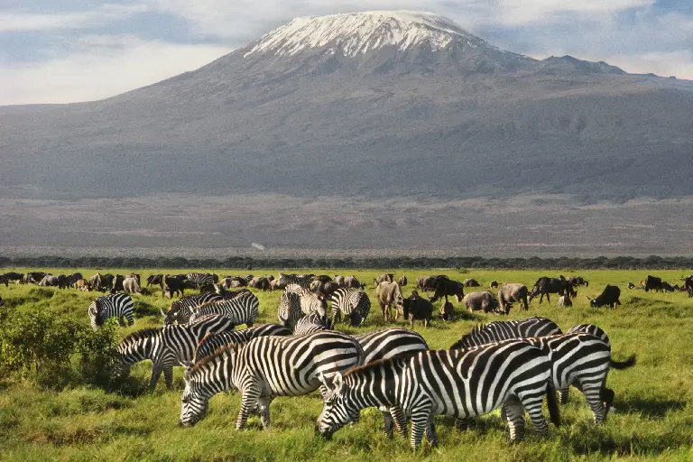 amboseli-national-park-1