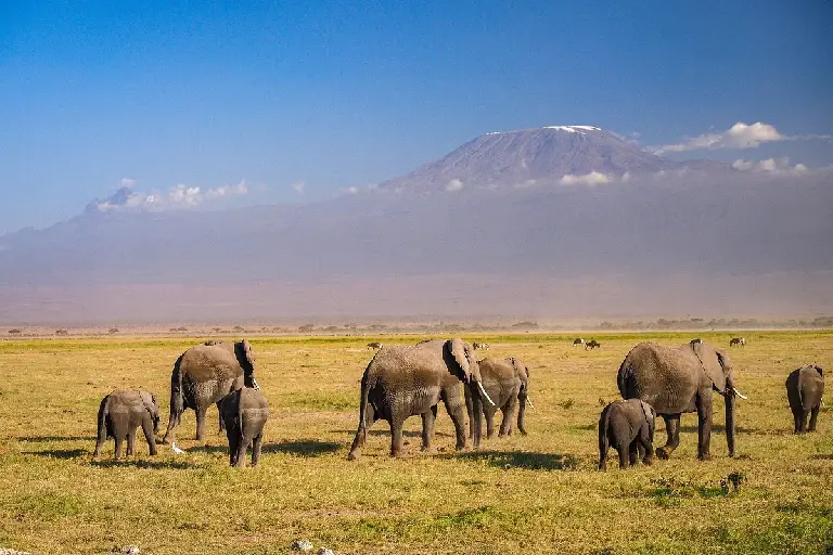 amboseli-national-park-2
