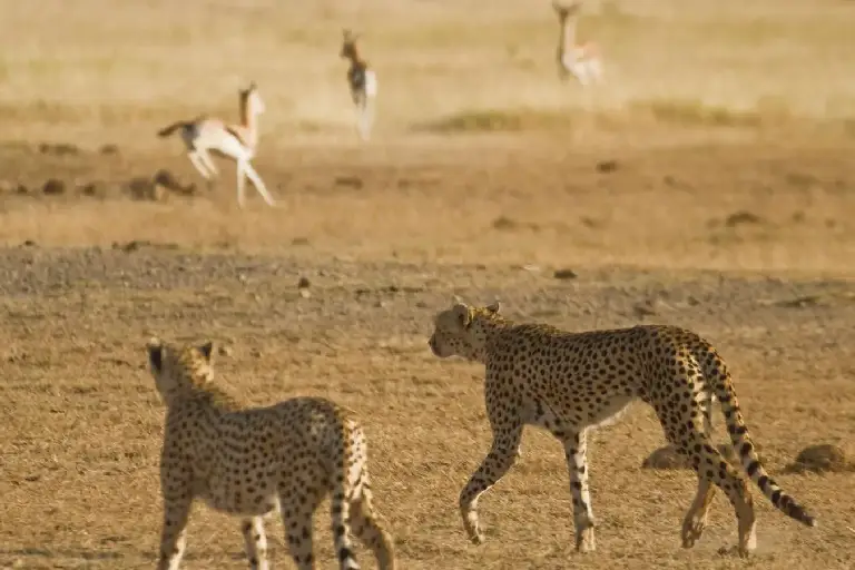 amboseli-national-park-3