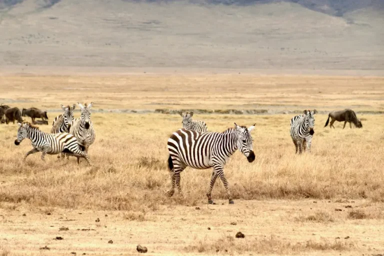 arusha-national-park-3
