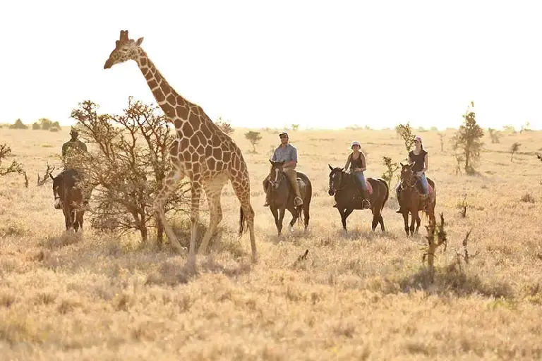 best-time-to-travel-kenya-1