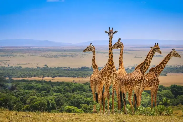 best-time-to-travel-kenya-2