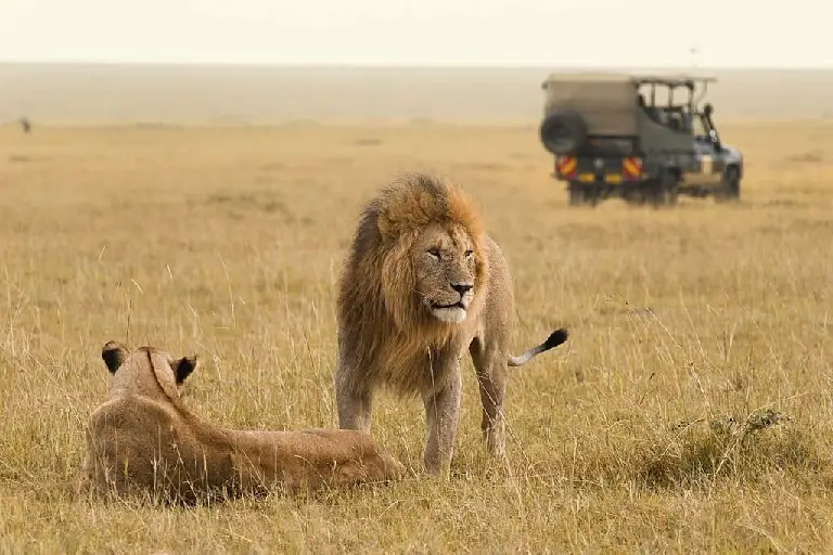 best-time-to-travel-kenya-4