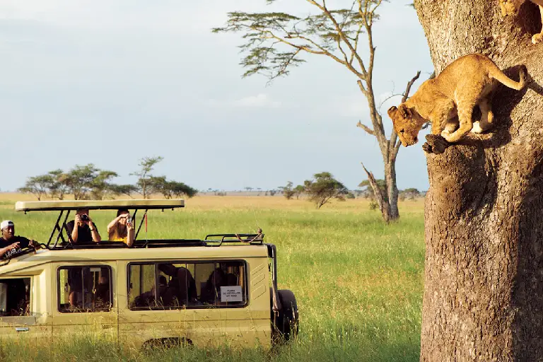 best-time-to-travel-tanzania-2