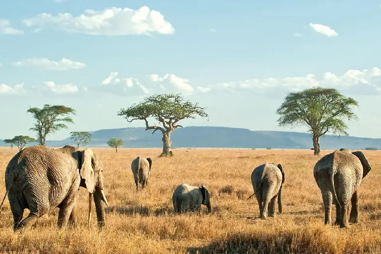 best-time-to-travel-tanzania-4