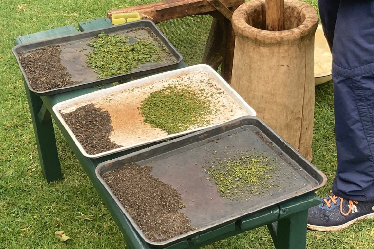 day-tour-to-kiambethu-tea-farm-1